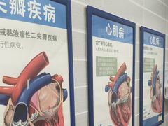 -芭比堂动物医院·心脏科·老年急重症·夜诊·吉雅分院