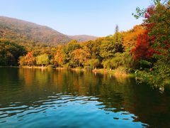 -紫霞湖公园