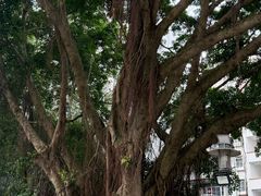 -南宁南湖公园
