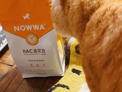 IIAC金奖咖啡豆-NOWWA挪瓦咖啡(SOHO中山广场店)
