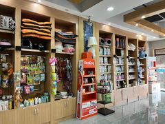 -瑞派名望志远动物医院·猫科·內科·异宠专科(直港大道店)