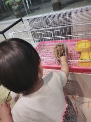 -Moni星球萌宠·小马宝莉·灵蛇·高端高阶全萌宠互动体验俱乐部(红豆国际广场店)