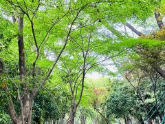 -上海市龙华烈士陵园