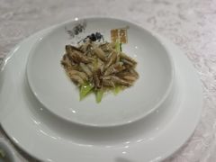蟹柳芦笋-新光酒家·河豚·海鲜·蟹料理(浦东店)