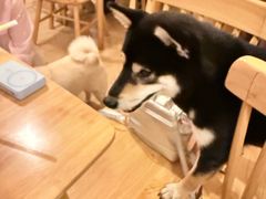 -柴の食堂·日式家庭料理·熊之肆(大学路店)