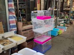 -保定市花鸟鱼虫市场