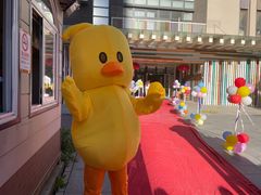 -恩卓国际幼儿园(兆丰校区)