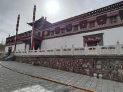 -塔尔寺-菩提树