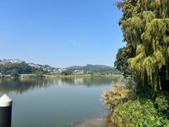 -白云湖畔酒店-湖畔餐厅