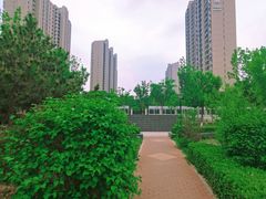 -庄怡公园