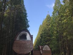 -黄海国家森林公园