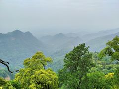 -青城山