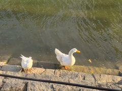 -南翠屏公园