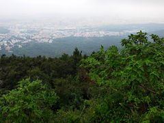-紫金山山顶公园
