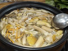 -菌之家·专业纯野生菌火锅·特色炒菌