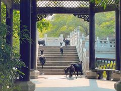 -粤晖园