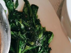 青炒豌豆尖-辣婆婆(航天桥店)