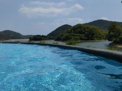 -宁波九龙湖开元度假村