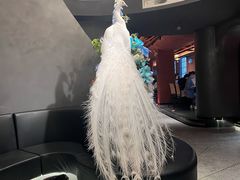 -滇野云南野生菌餐厅(陕西南路店)