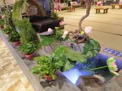 -青水瓦台汤泉(新华店)
