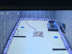 -疯狂的麦咭(长沙店)