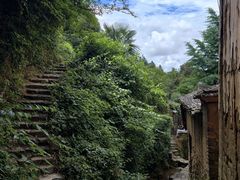 -杨家堂村
