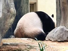 -香港海洋公园