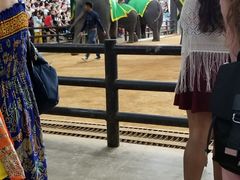 -东芭乐园