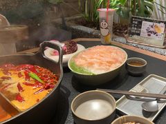 -大龙燚·旷野鲜火锅(广州首店)