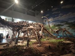 -自贡恐龙博物馆