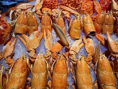 -武汉马哥孛罗酒店