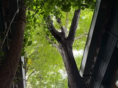 -古耳咖啡(北锣店)