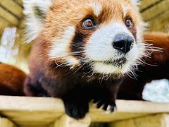 -水上乐园·欢乐世界