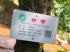 -赤水丹霞旅游区·佛光岩