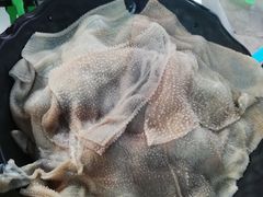 -铜元老码头鳝鱼火锅