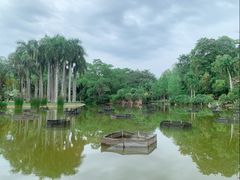 -中国科学院西双版纳热带植物园