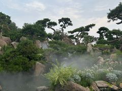 -罗红摄影艺术馆