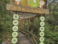 -大岭沟猕猴桃谷风景区