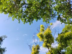 -华东政法大学(松江校区)