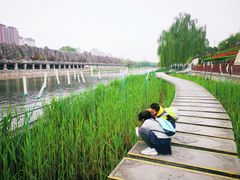 -西安汉城湖景区
