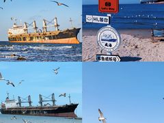 -映像威海·海鲜味道(市区店)