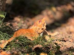-敬亭山风景名胜区