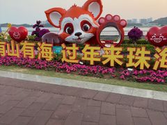 -野狸岛