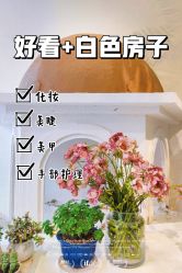 -好看加白色房子