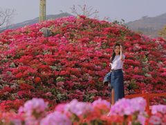 超像国外景点-盈香心动乐园