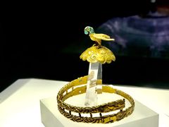 -呼和浩特博物馆