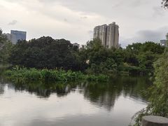 -人民公园(罗湖区)