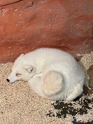 -Zoolung Zoolung动物主题公园(海信广场店)