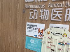 -谐和益家动物医院·免疫绝育·血液透析·宠保定点医院(高新伊藤分院)