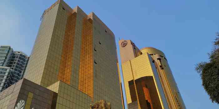 王子饭店(厦门店)-"超奢华的店面布置,座位是沙发扶手椅,店员.